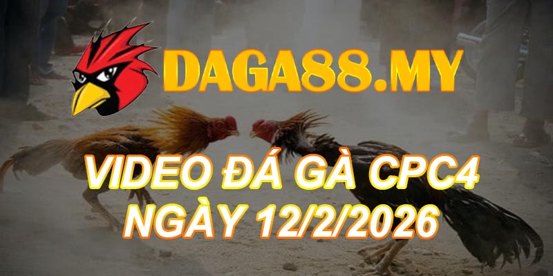 VIDEO GÀ CPC4 NGÀY 12/2/2026