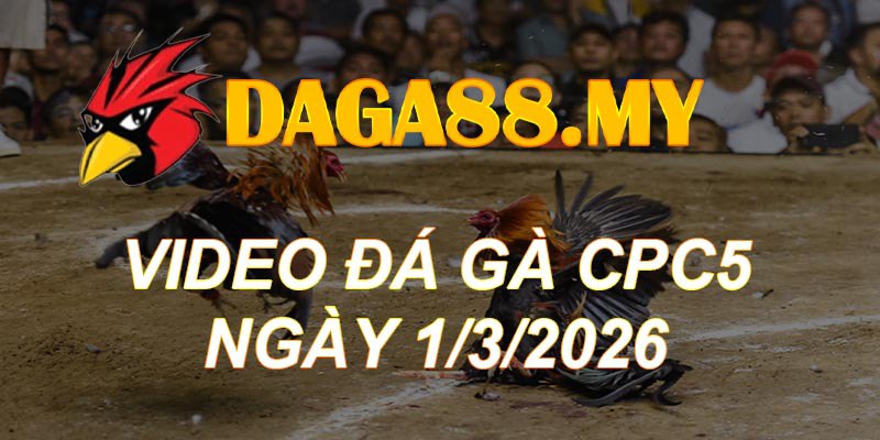 VIDEO GÀ CPC5 NGÀY 1/3/2026