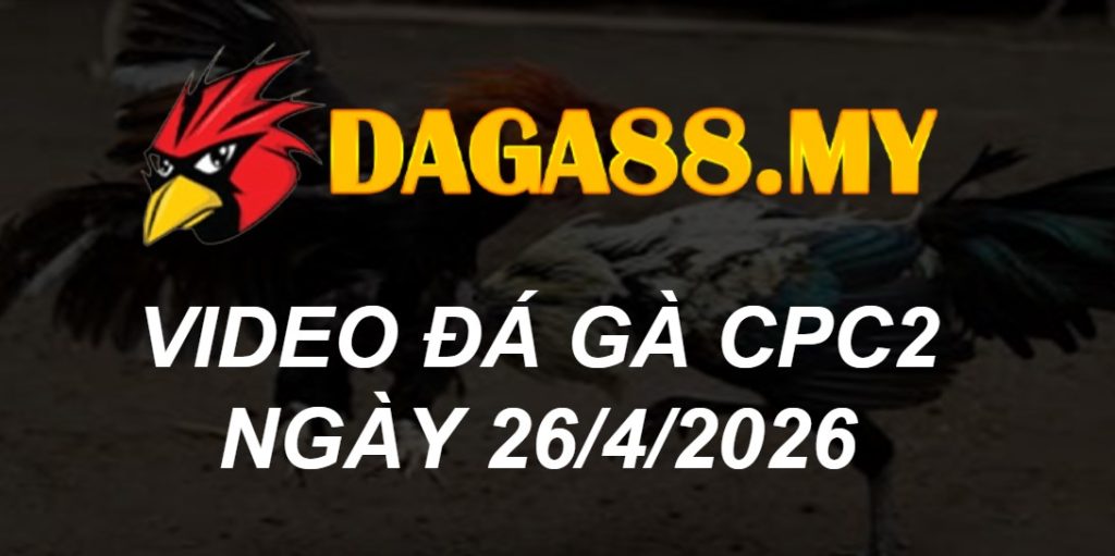 Video CPC2 ngày 26/04/2026